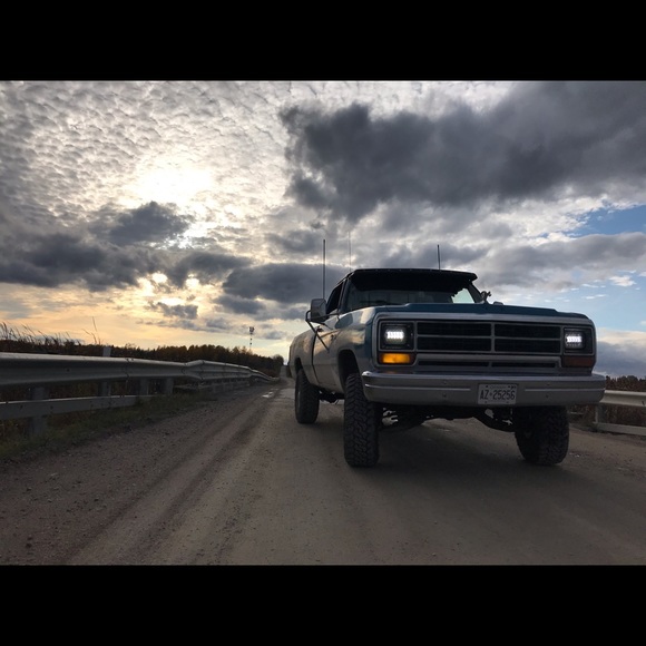 Meet your Posher, Xazel - Picture 1 of 1